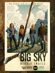 Бескрайнее небо (3 сезон) / Big Sky (2022)