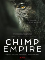 Империя шимпанзе (1 сезон) / Chimp Empire (2023) WEB-DLRip