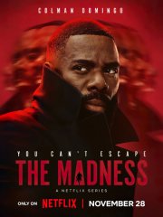 Безумие (1 сезон) / The Madness (2024) WEB-DLRip